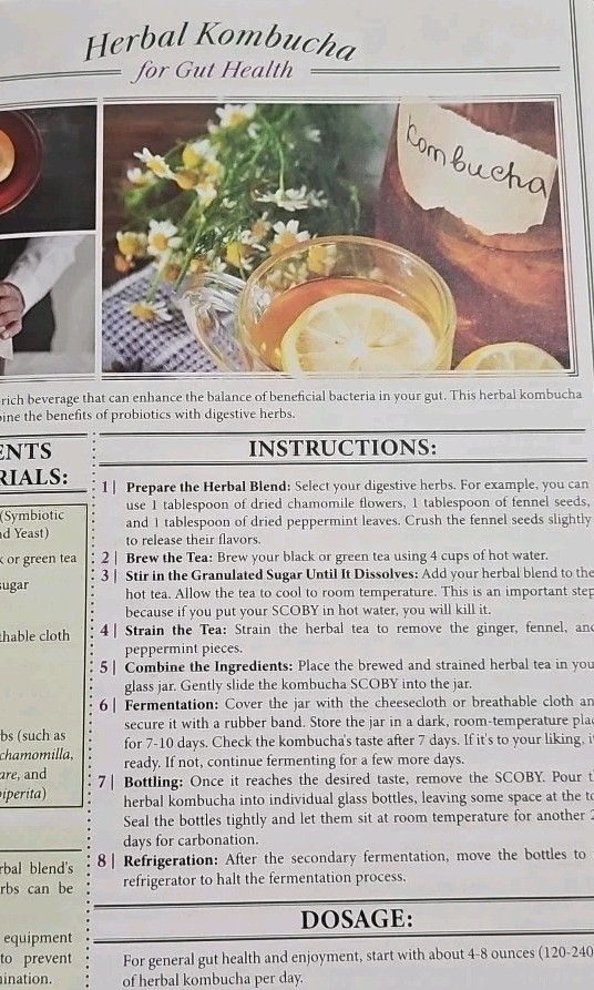 Forgotten Home Apothecary 250 Powerful Remedies at Your Fingertips Paperback New
