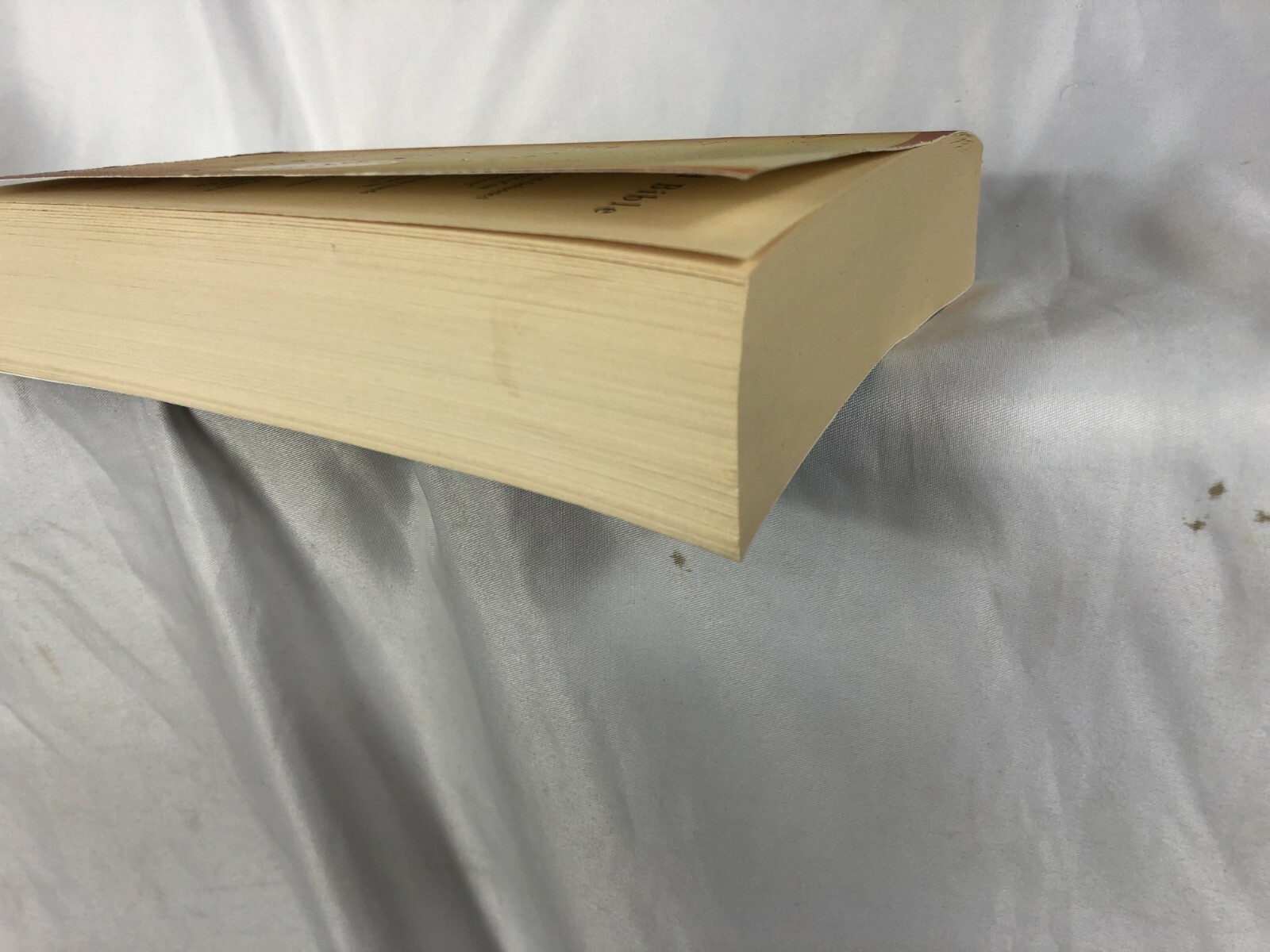 Barbara Kingsolver The Poisonwood Bible a novel