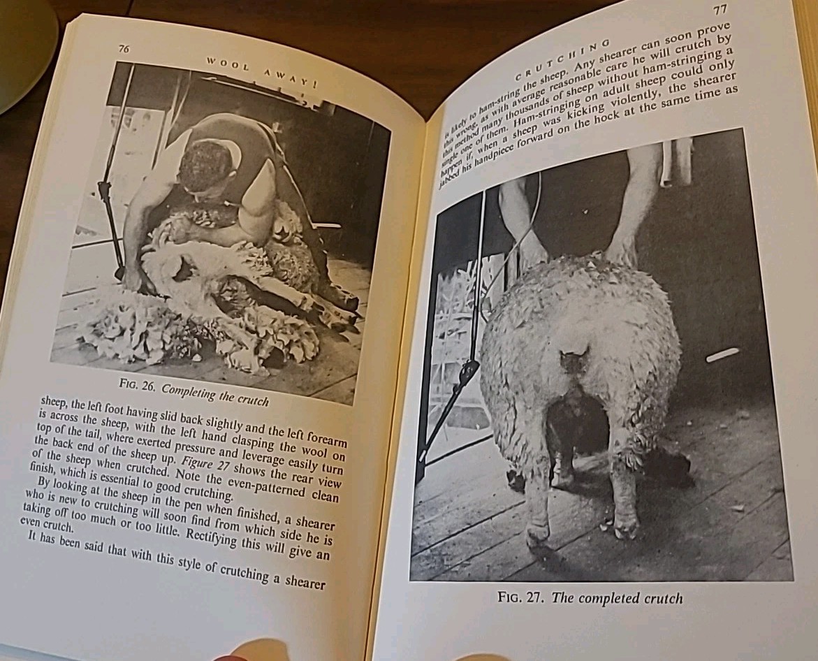 Wool Away : The Art and Technique of Shearing by Godfrey Bowen (Hardcover) RARE