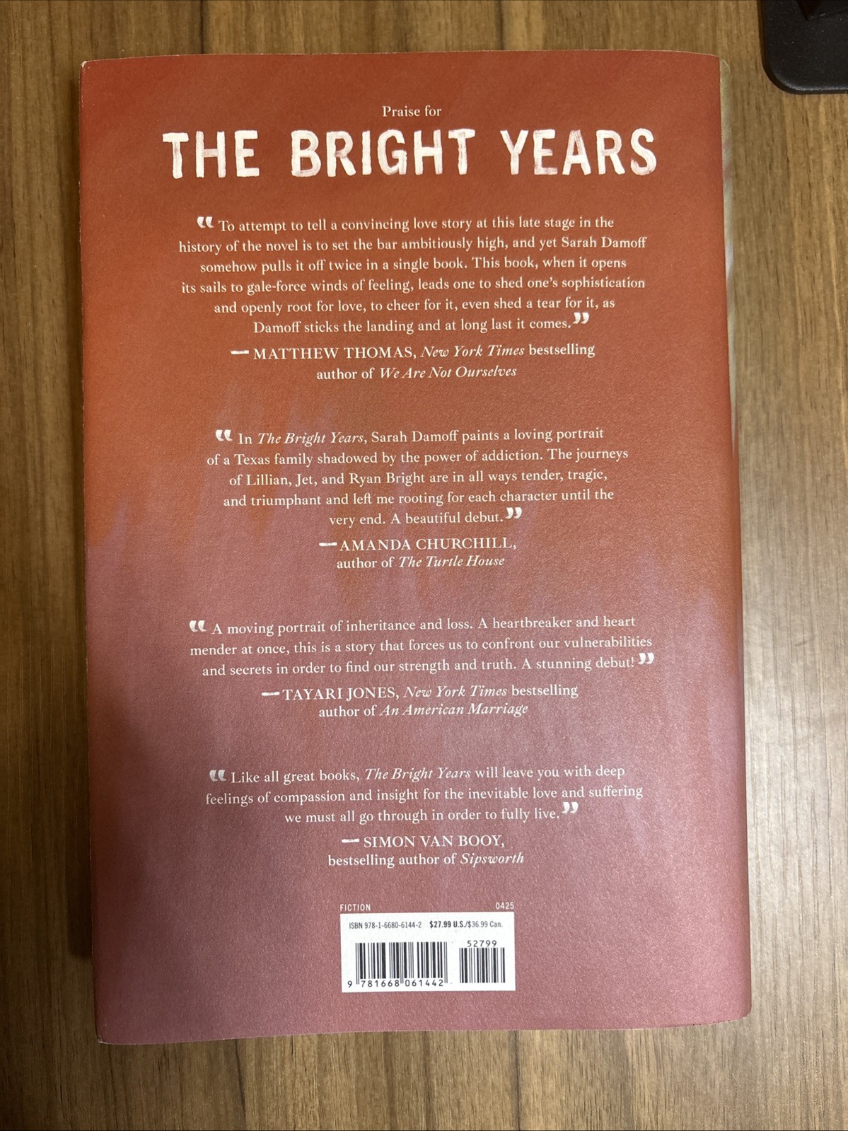 Bright Years by Sarah Damoff (2025, Hardcover)