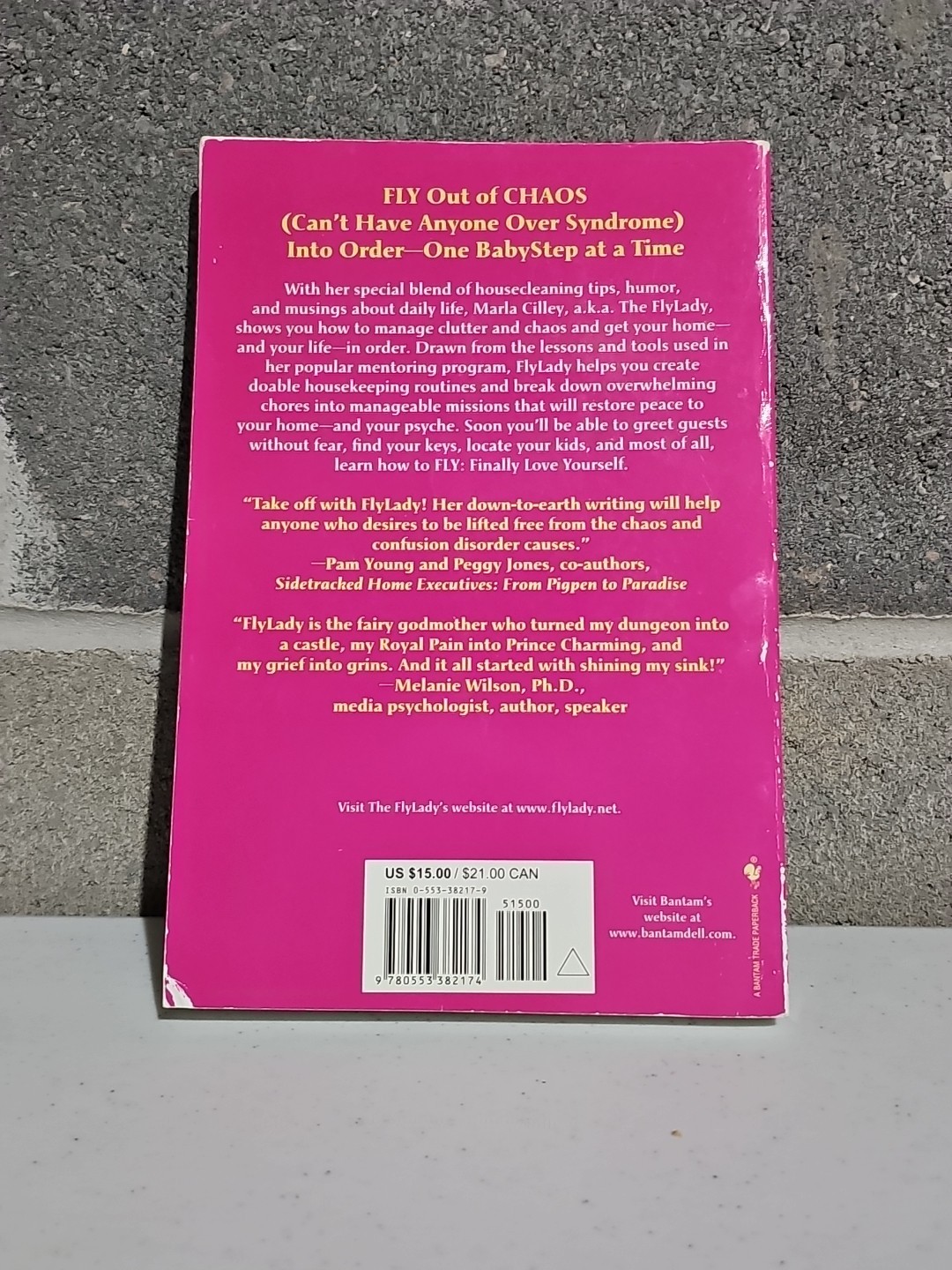 Sink Reflections by Marla Cilley (2002, Paperback)
