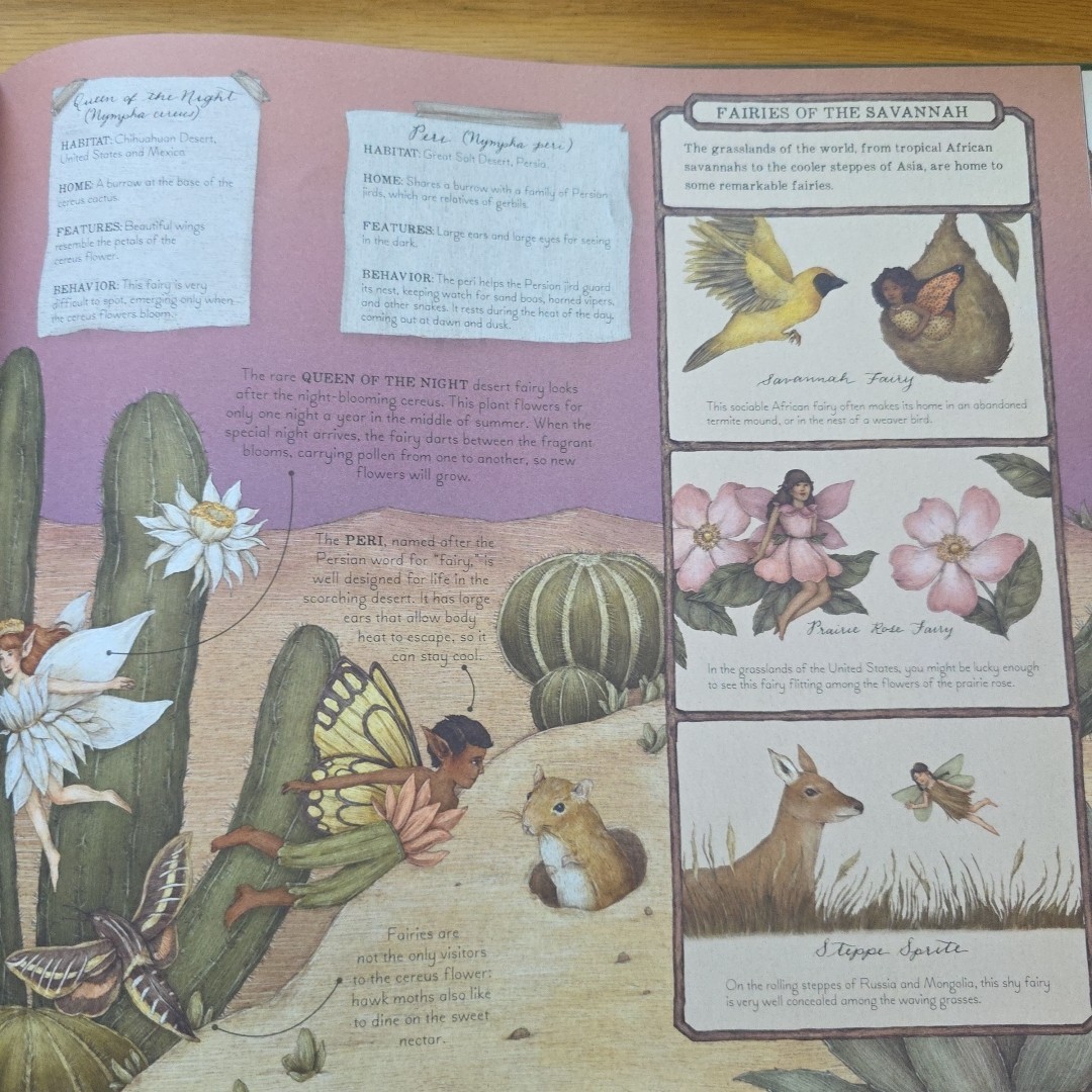 Folklore Field Guides: A Natural History of Fairies by Emily Hawkins