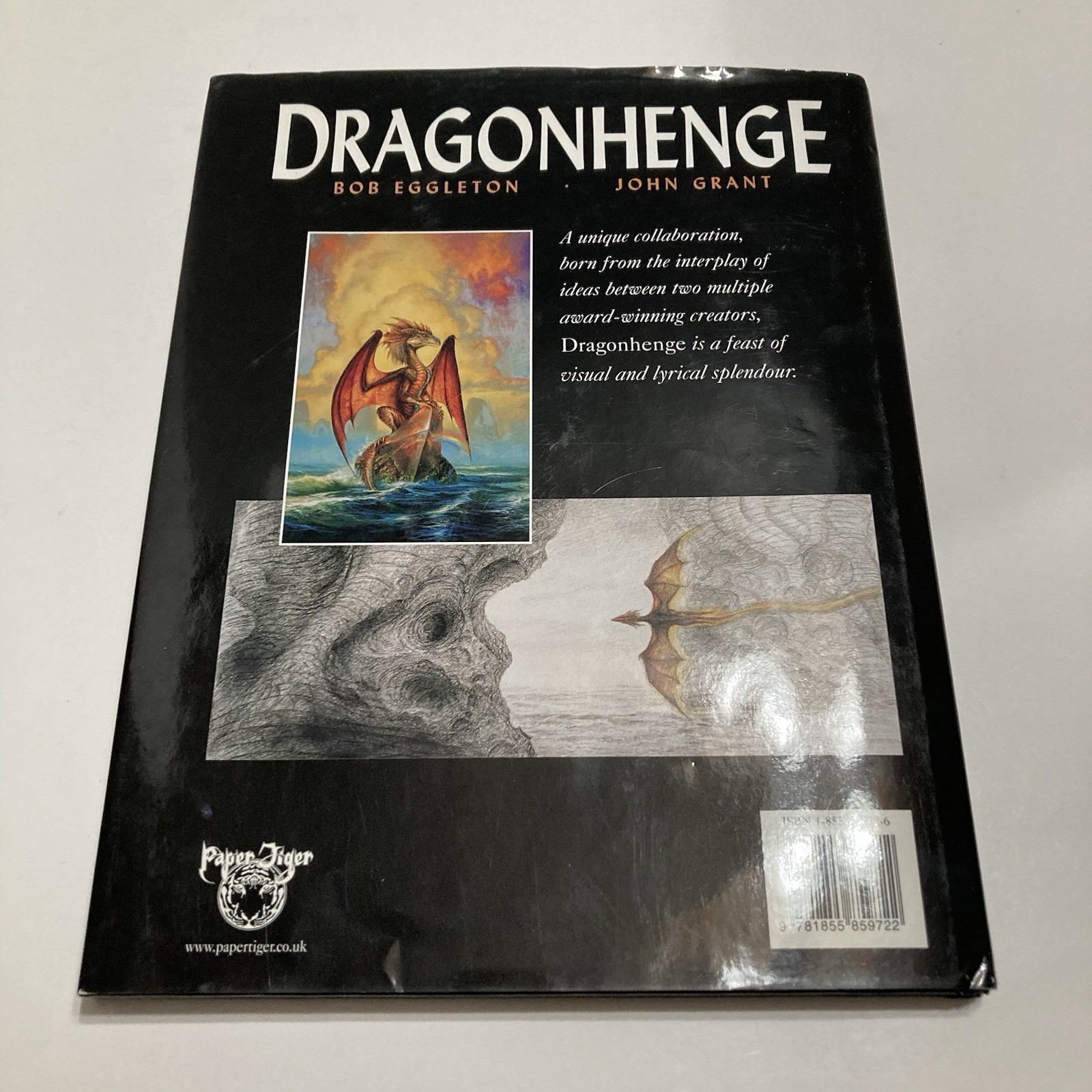 Dragon Henge and Star Dragon Books Lot of 2 Bob Eggleton & John Grant Artistic