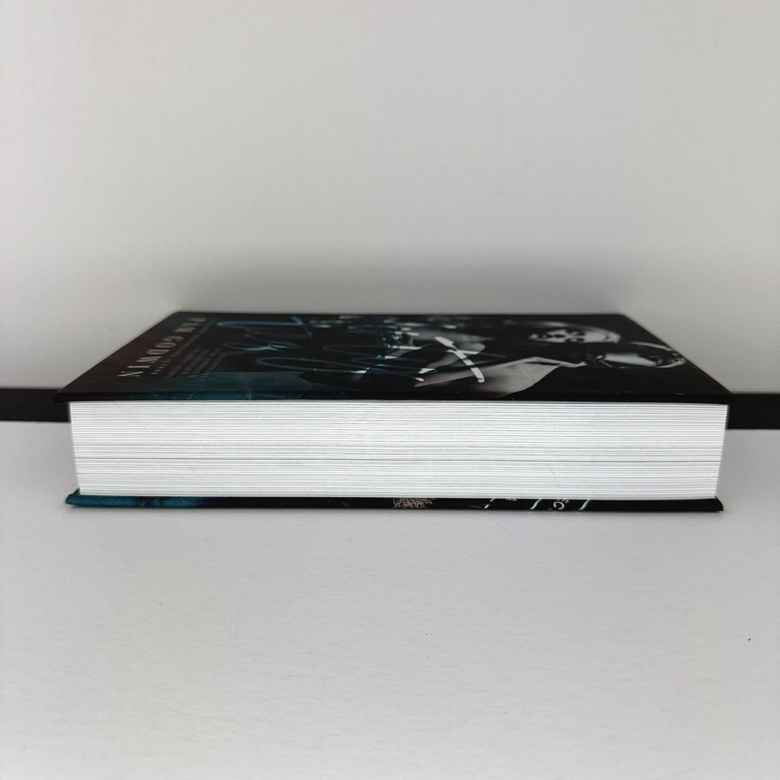 Dark & Disturbed Pam Godwin Incentive & Dirty Ties Special Edition Hardcover New
