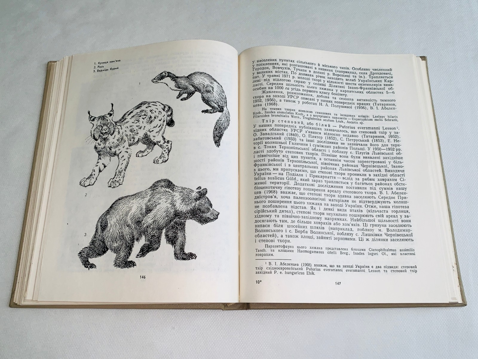 Фауна Західної України Хребетні / Fauna of Vertebrates of the Western Ukraine