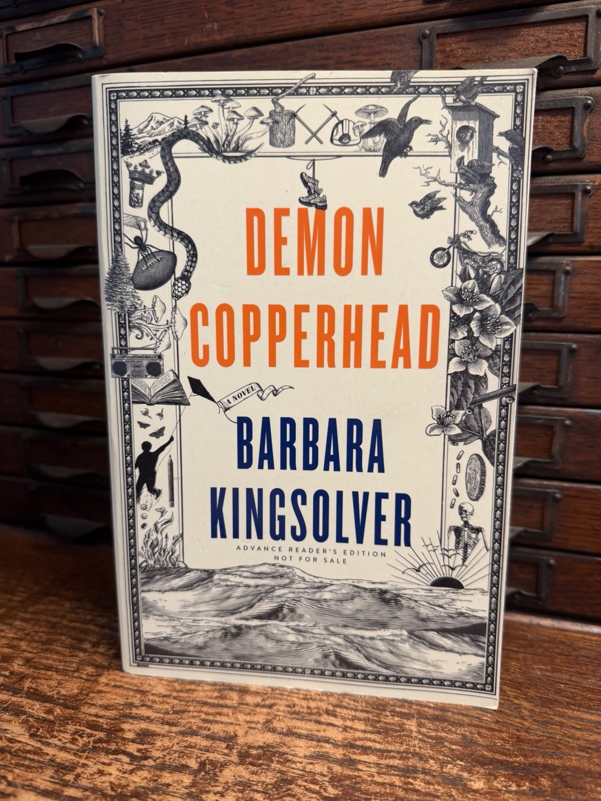 Lot 3 Barbara Kingsolver Books Demon Copperhead Advance, Poisonwood Bible Lacuna