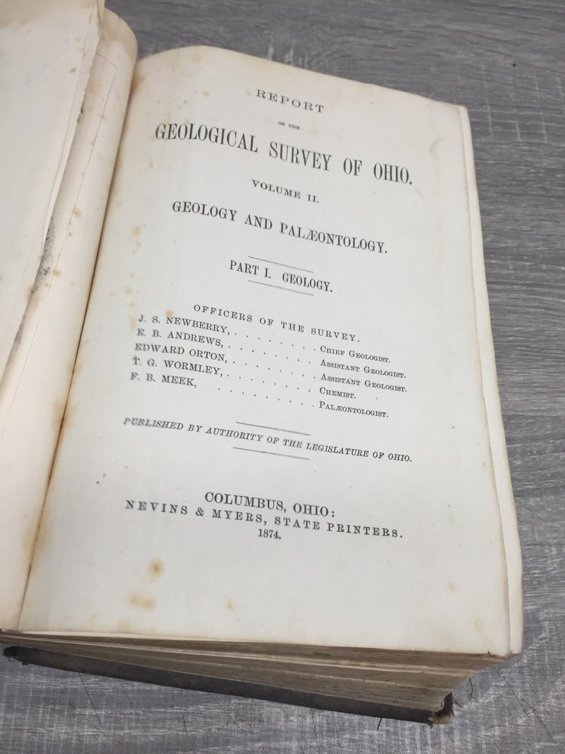Geological Survey of Ohio Vol II Part I Geology Newberry 1874 Ohio State maps