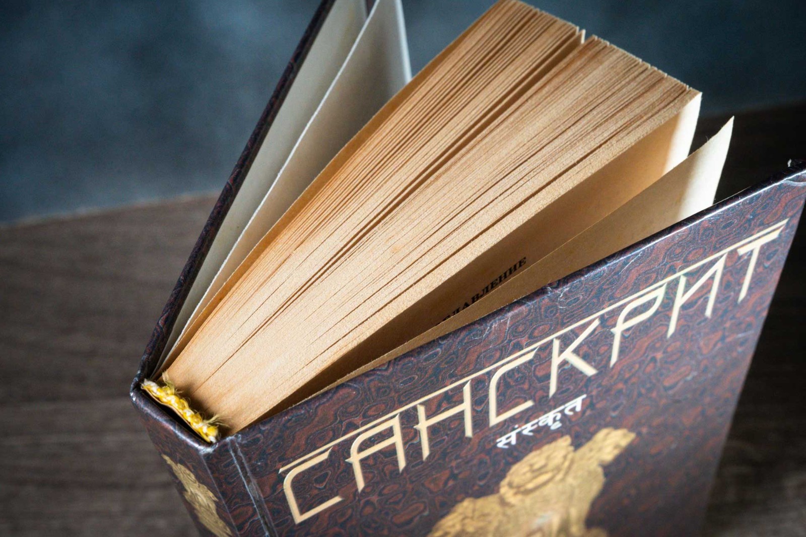 Санскрит Издательство Лань 2001 Sanskrit 480 pages