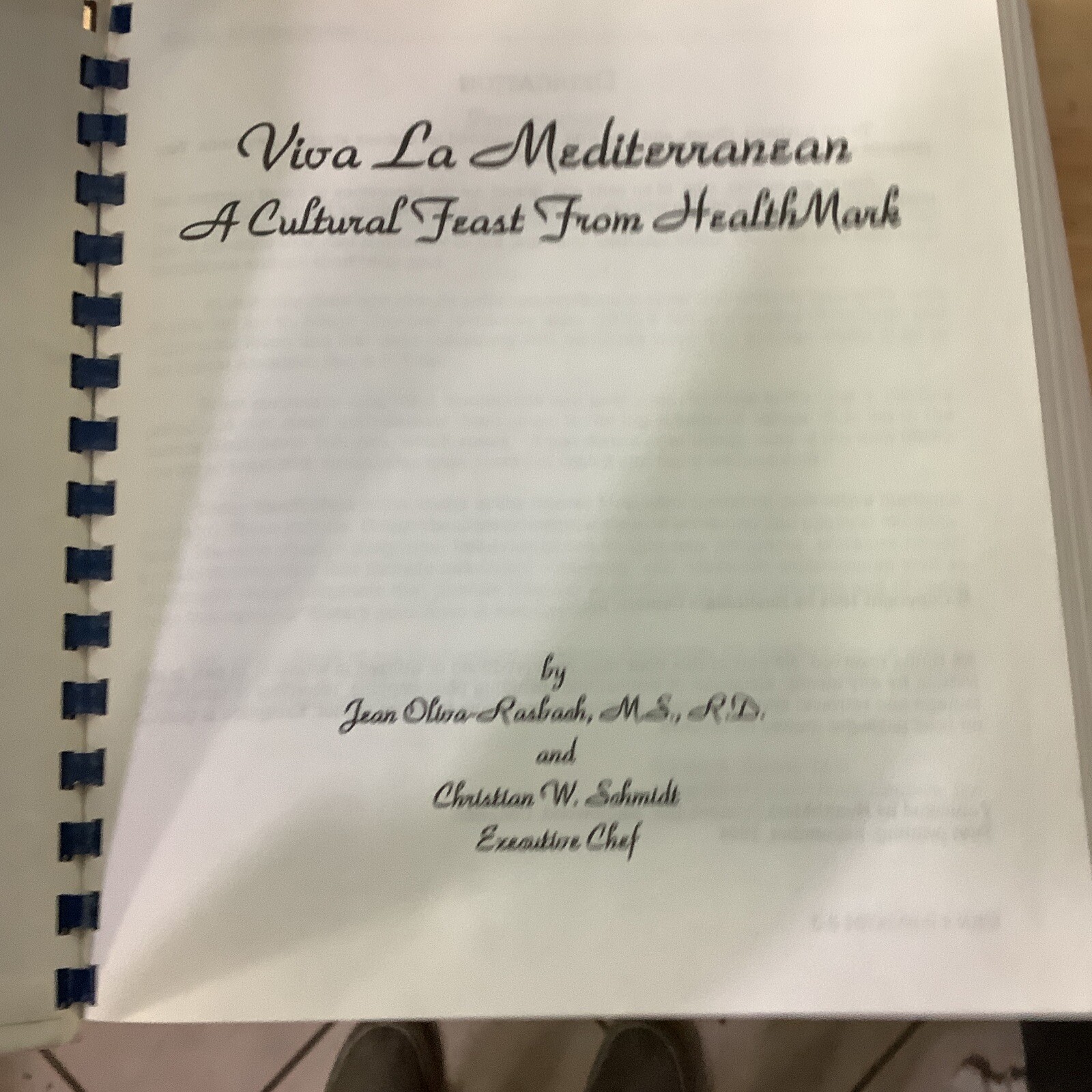 VIVA LA MEDITERRANEAN: A Cultural Feast from Healthmark 1994 Plastic Comb Bound