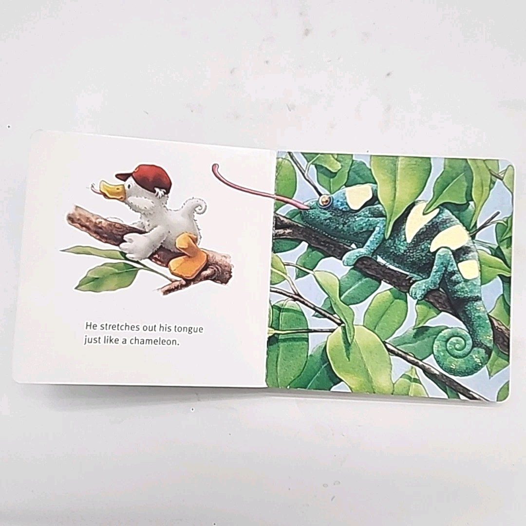 Copycat Charlie by Marcus Pfister 1st Edition 2008 Board Book