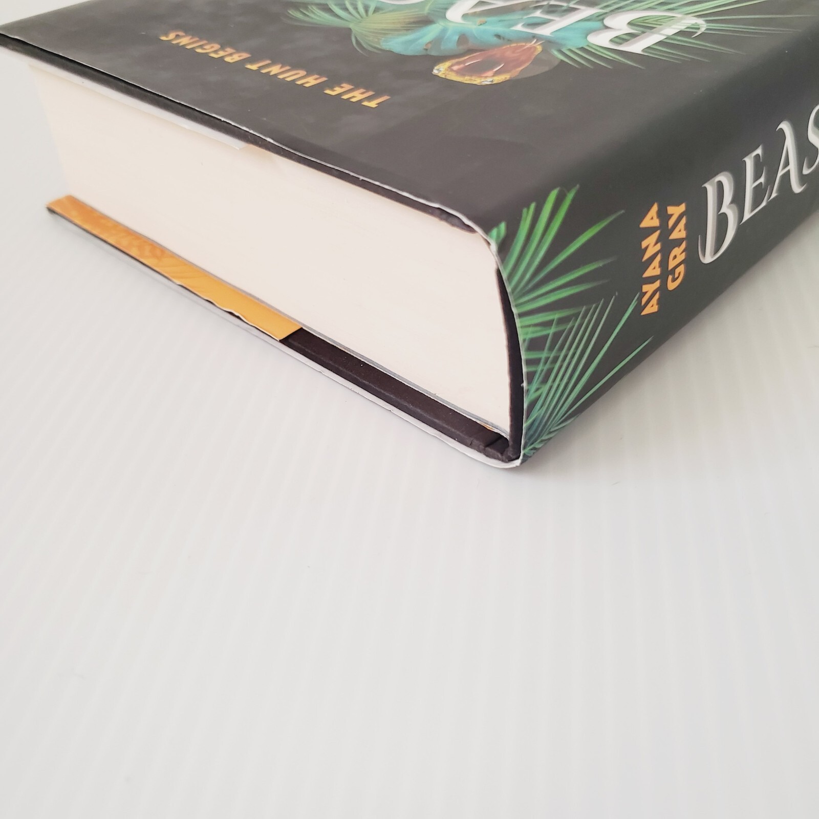 Beasts of Prey Hardcover Book By Ayana Gray Fantasy Fiction Novel