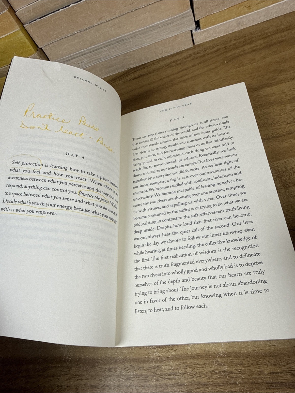 Perfect Book for Gift – The Pivot Year: 365 Days To Become The Person Paperback