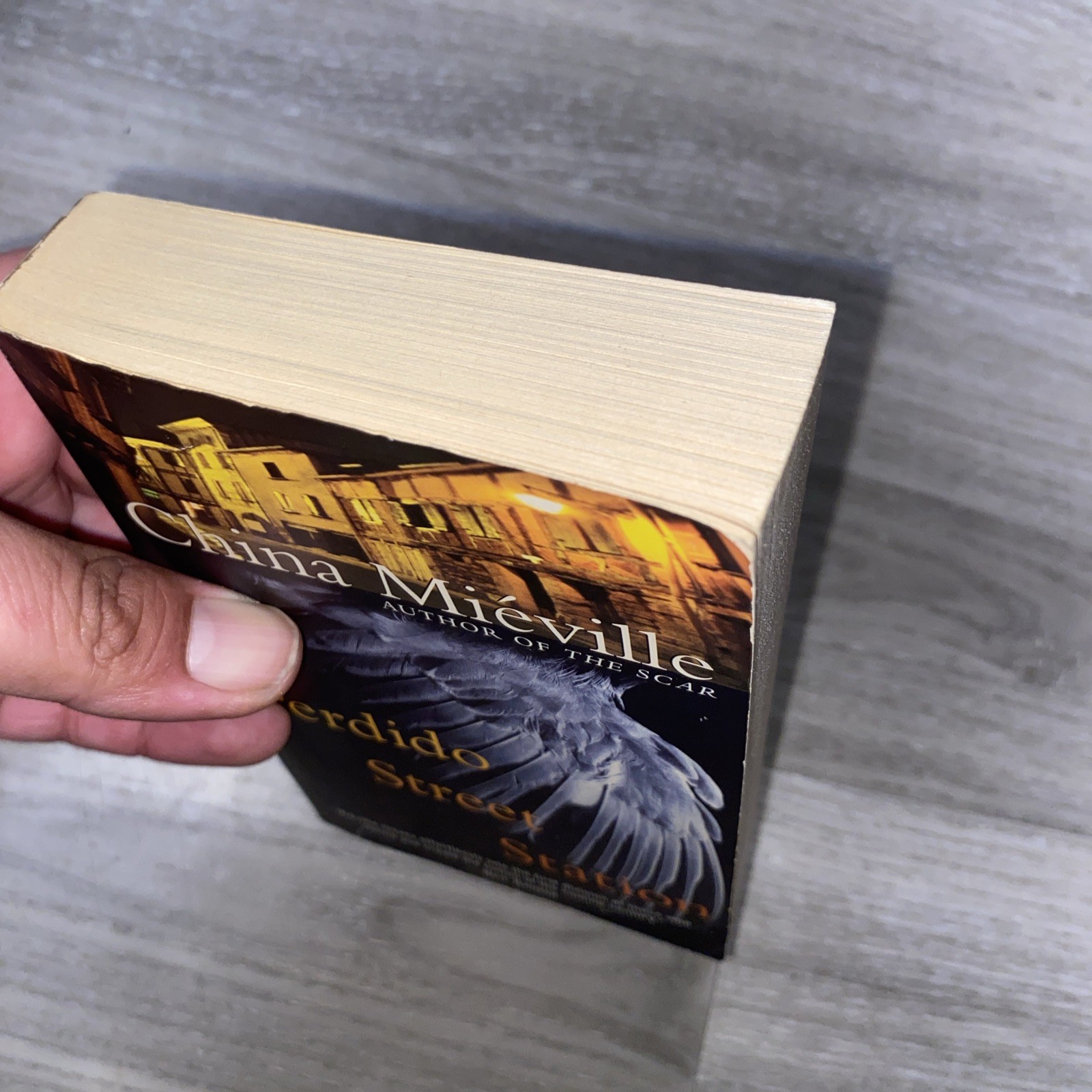 Perdido Street Station by China Miéville (2003, Mass Market)