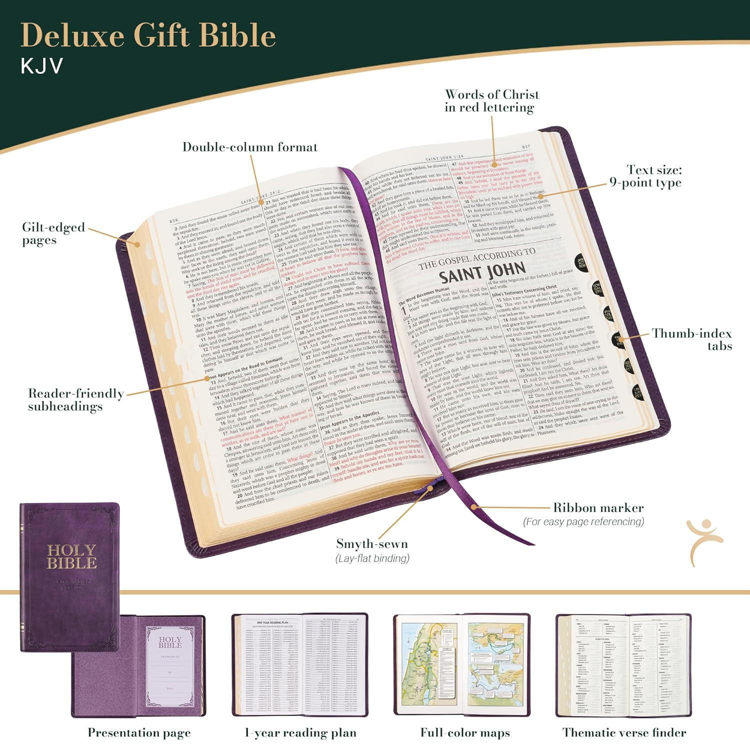 KJV Holy Bible, Standard Size Faux Leather Red Letter Edition Thumb Index & Ribb