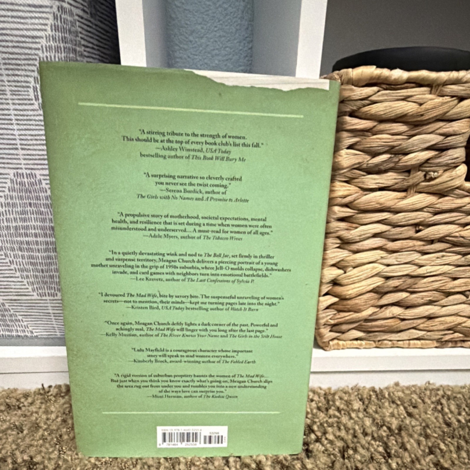 Meagan Church The Mad Wife Trade Paperback Fiction Novel Motherhood Mental Heal…
