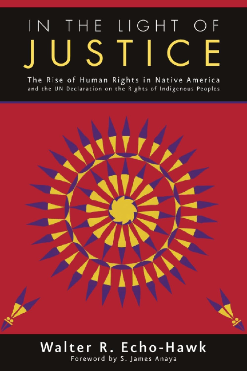 In The Light of Justice: The Rise of Human Rights in Native America