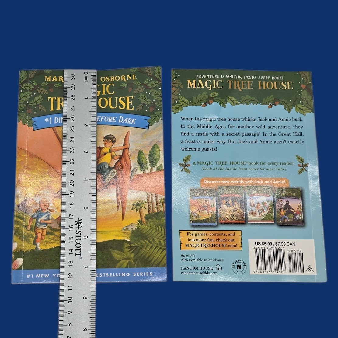 Set 1A: Magic Tree House A Library of Books 1-28 – Mary Pope Osborne Collection