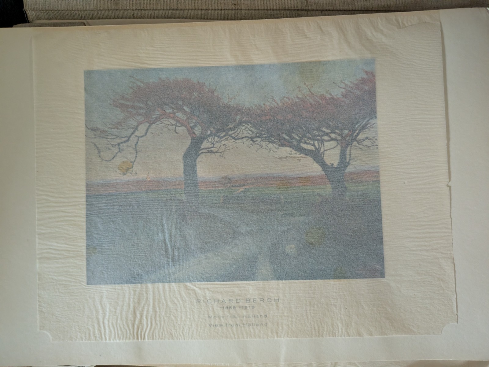Beautiful SWEDEN : Collection of paintings of swedish landscapes by famous _Rare