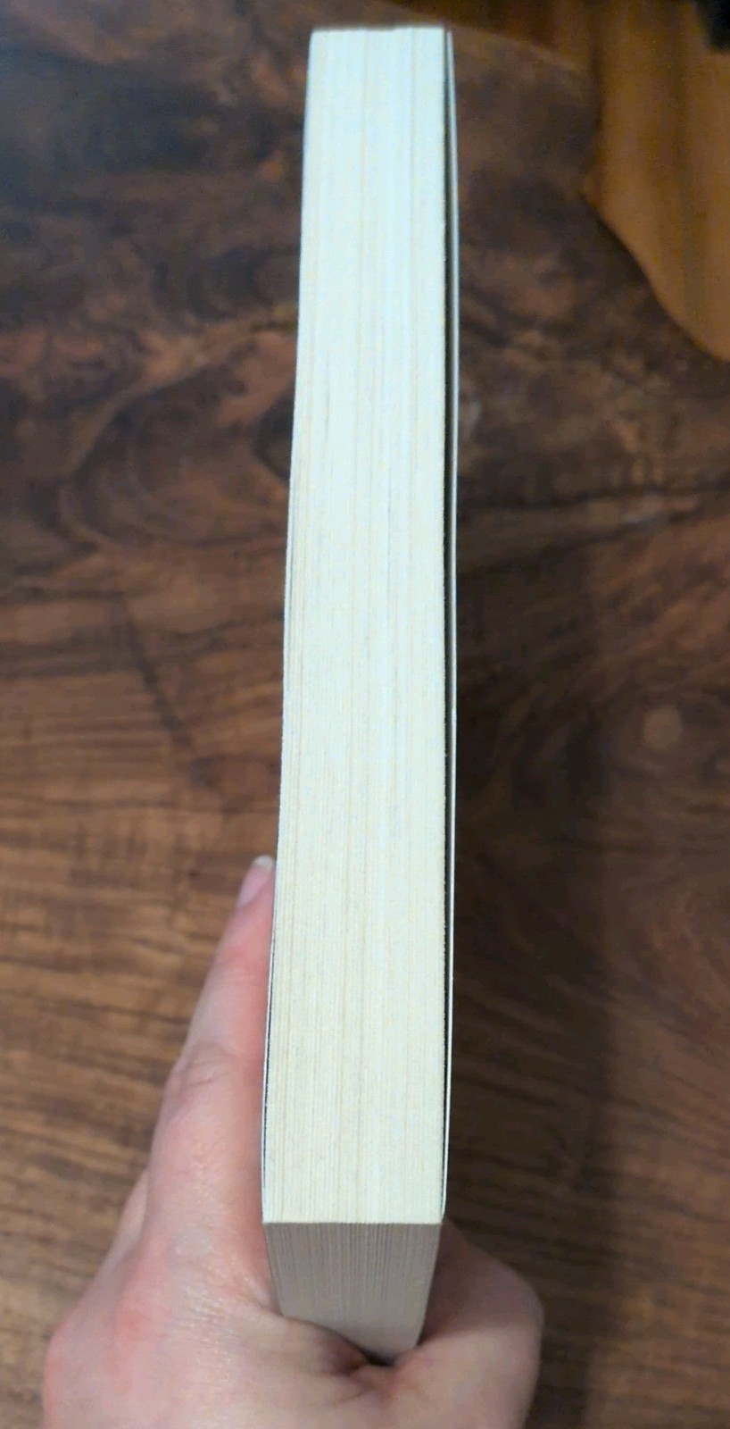 Legend And Lattes By Travis Baldree | Paperback