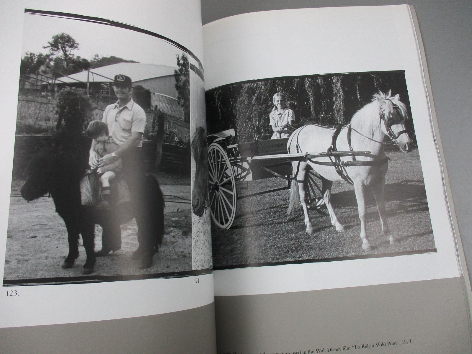 Horses In The Hunter 1820-2005 River Valley NSW Signed Judy White Hardcover