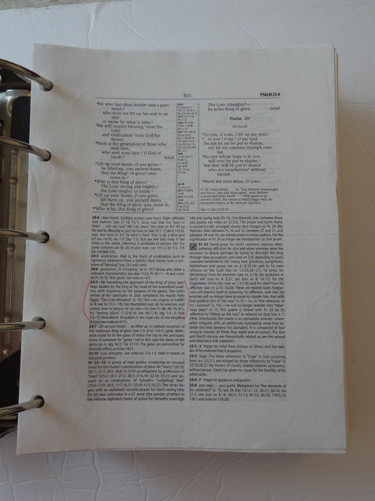 Loose Leaf Zondervan NIV Study Bible Fully Revised Hendrickson – Huge Bible
