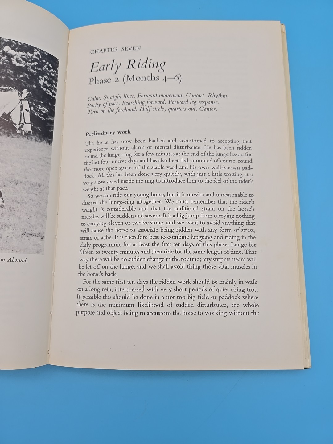 Training the Young Horse The First Two Years 1979 Anthony Crossley Equestrian