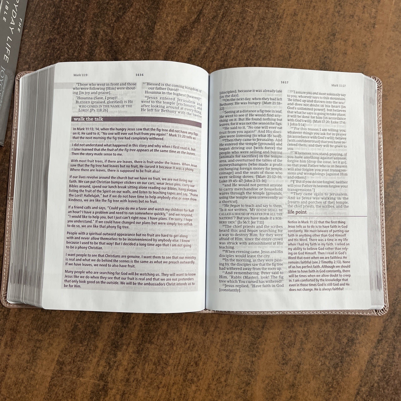 Amplified Joyce Meyer Everyday Life Study Bible – Blush LeatherLuxe