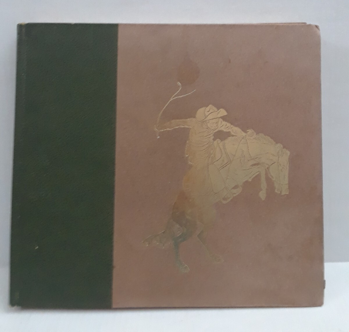 FREDERICK REMINGTON by Peter Hassrick 1973 HC Illustrated 13.5 x 12.25 in