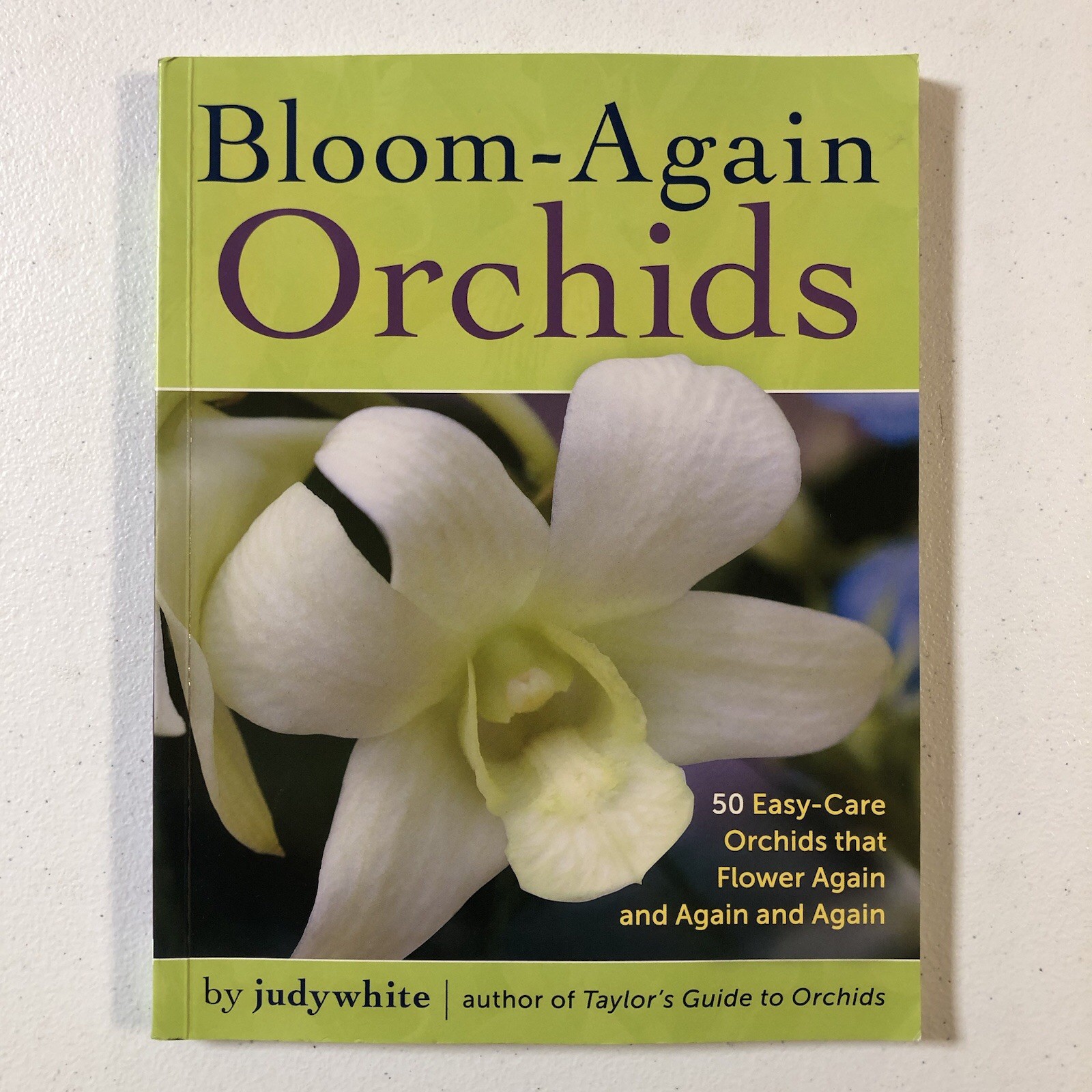 2017 BLOOM-AGAIN ORCHIDS by Judy White (Paperback)