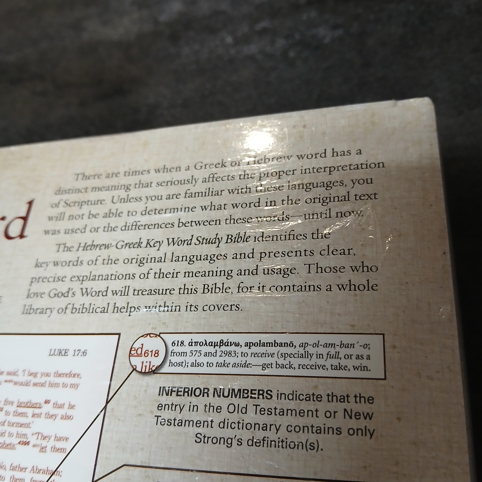 The Hebrew-Greek Key Word Study Bible: NKJV Edition, Hardcover