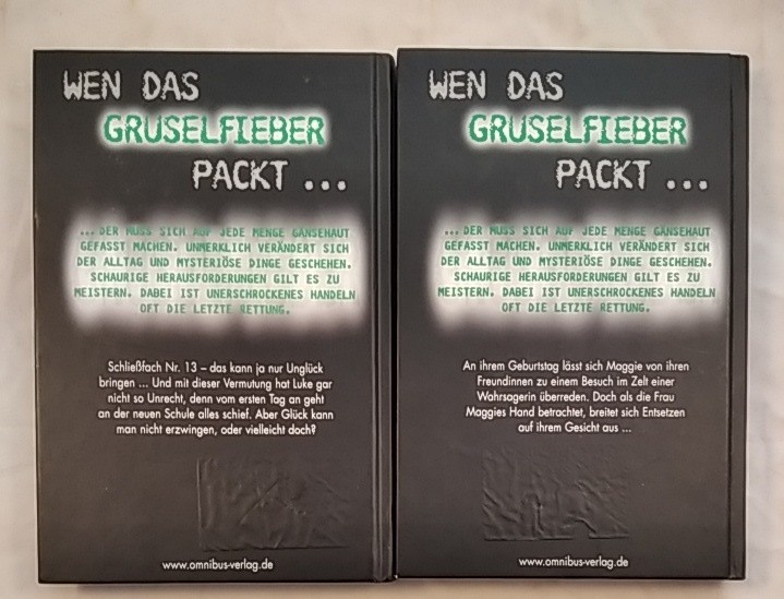 Konvolut von 2 Gänsehaut-Büchern von R. L. Stine: Gruselfieber, Band 2: Schließf