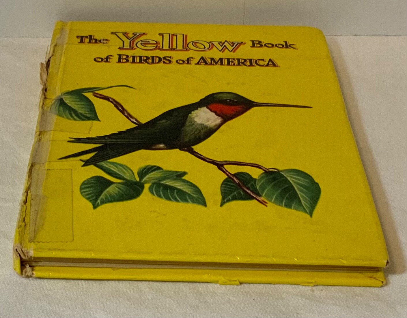 VTG 1954 The Yellow Book of Birds Of America Whitman Publishing 2978:25 HTF