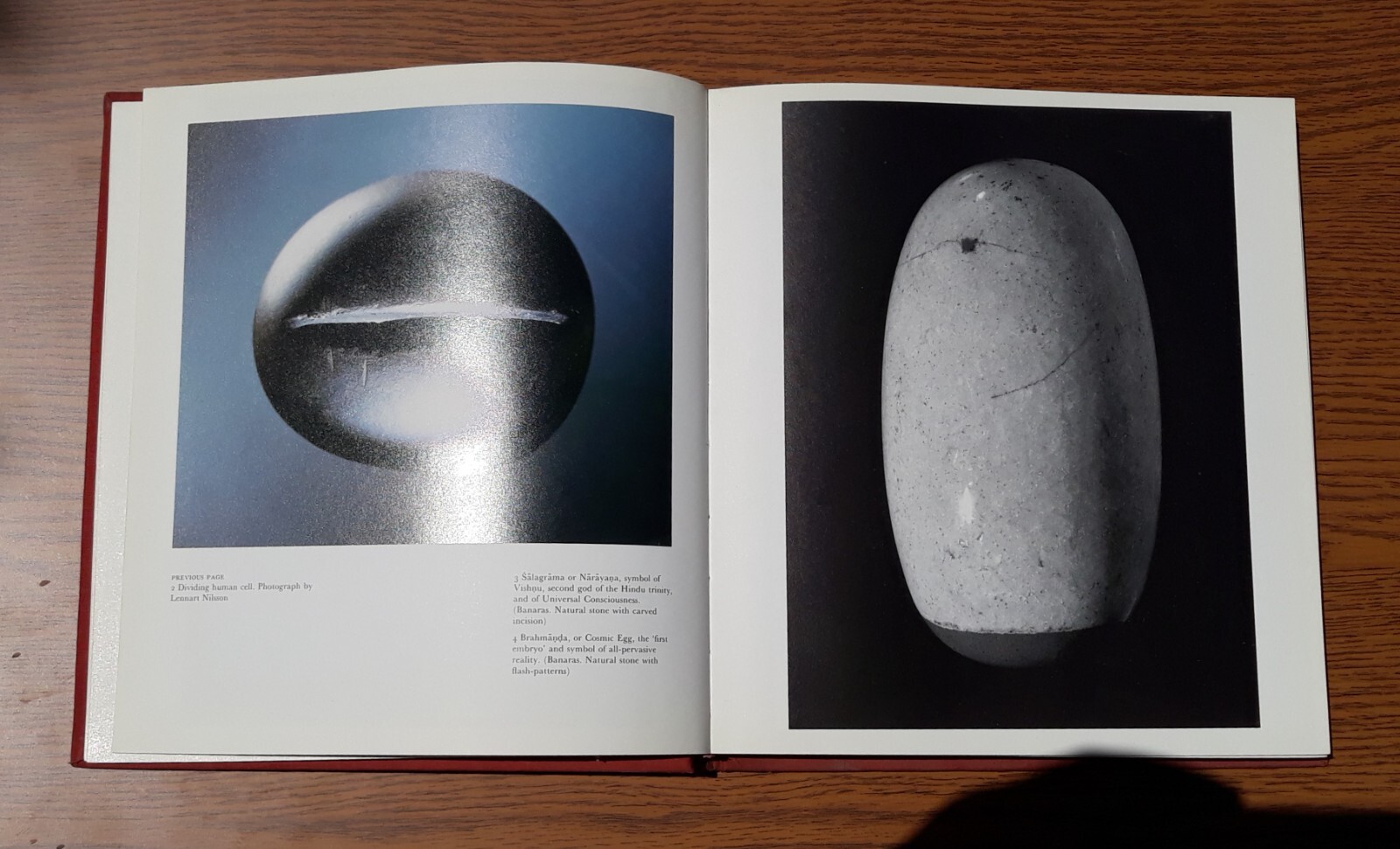 Illustrated Book Ritual Art Of India Nature Sivaism Vishnuism Saktism Syncretism