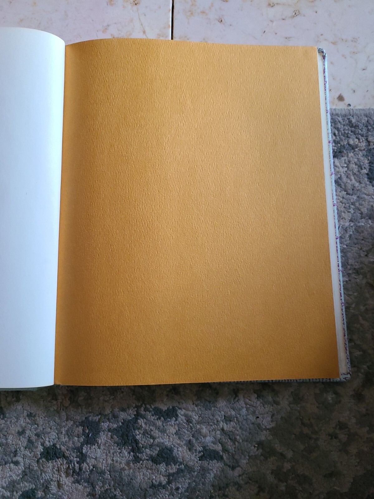 The Knight Of The Lion Gerald McDermott Four Winds Press 1979 First Ed HC VTG!