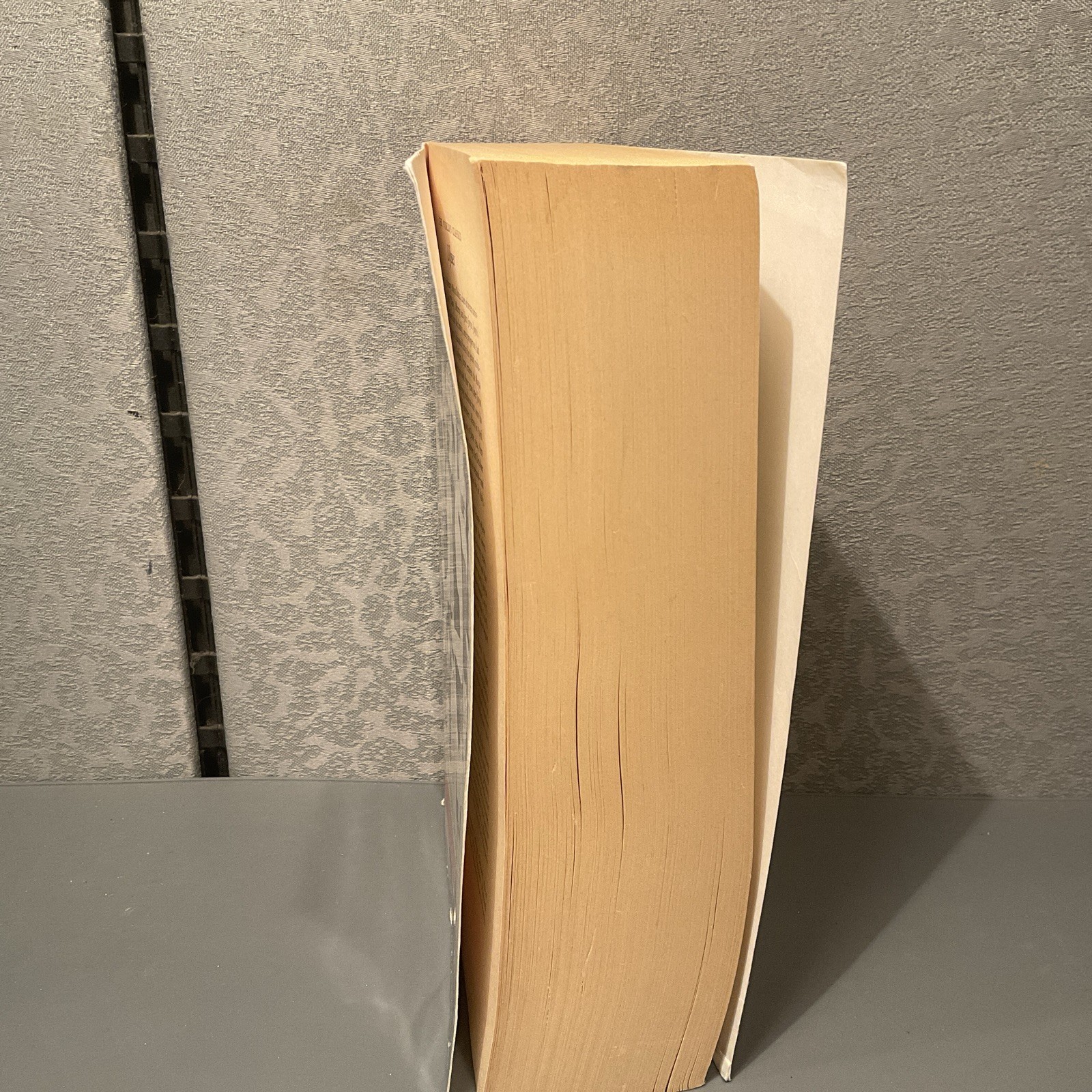 JAMES JOYCE ULYSSES the 1922 Text Oxford Press World Classics