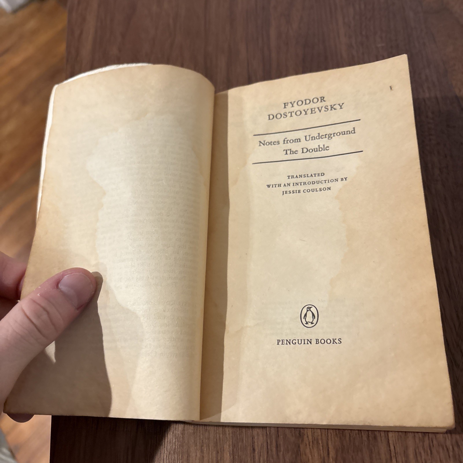 Notes from Underground the Double: The Double ROUGH PB6