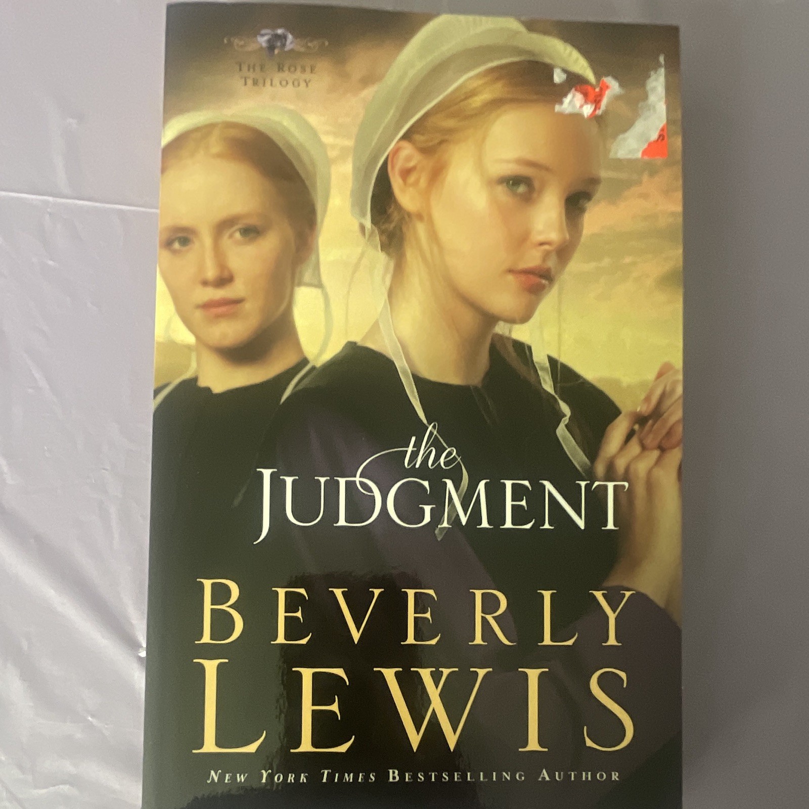 Christian Fiction Lot: Lucado, Reid, Lewis, Kerr – Adult, Dust Jacket, 2010s