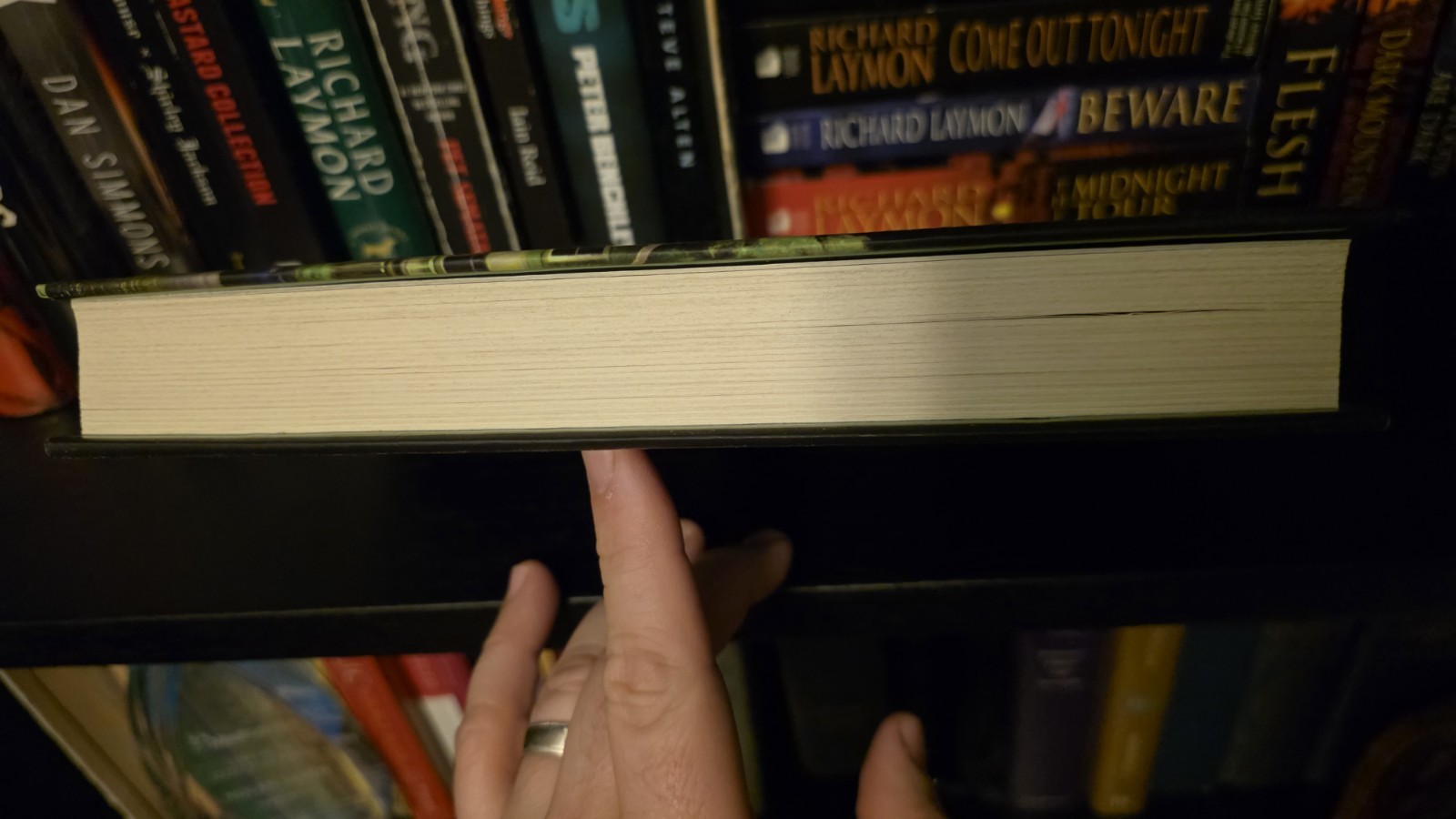 Middle of the Night. Riley Sager. 2024. Hardcover DJ. First Edition.