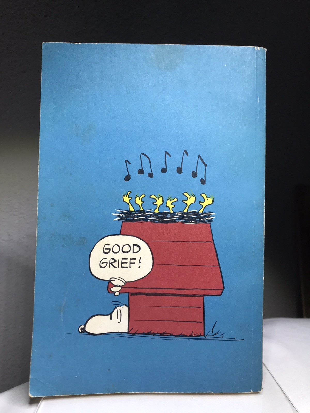 Vintage Snoopy & Snoopy Come Home Charles Schulz Paperback Comic Books Lot Of 2