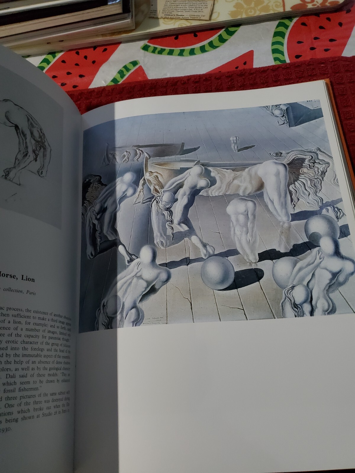 DALI Robert Descharnes hcdj 1993 Big 175 pages Hardcover with dustcover