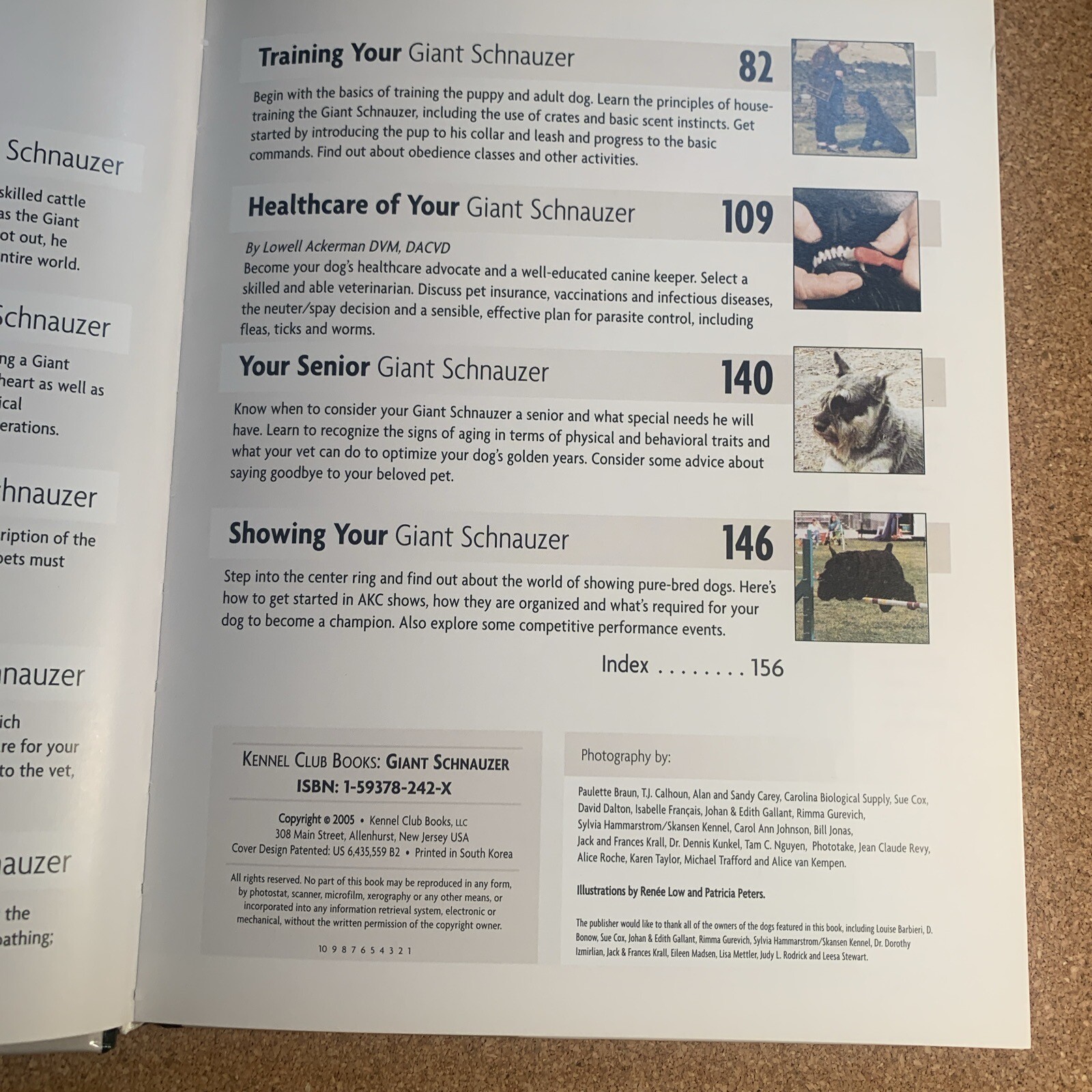 A Kennel Club Book Giant Schnauzer Comprehensive Guide To Owning And Caring For