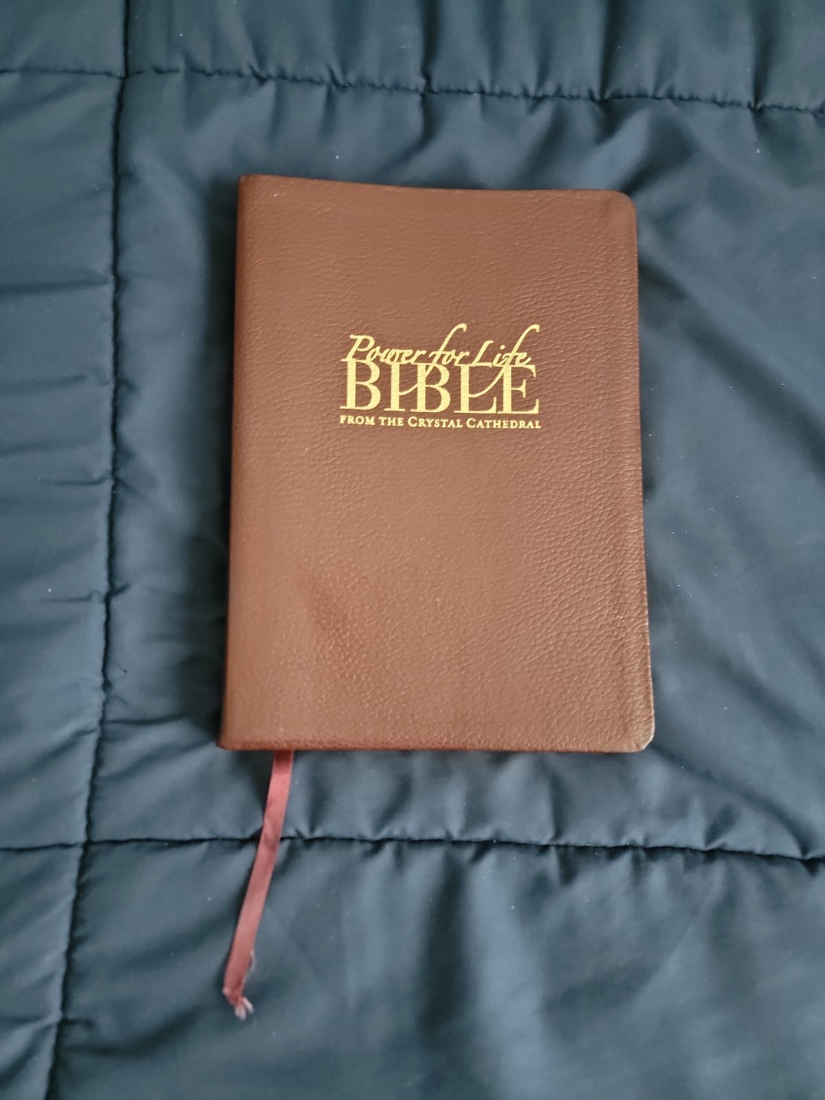 Power For Life Genuine Leather TNIV Study Bible