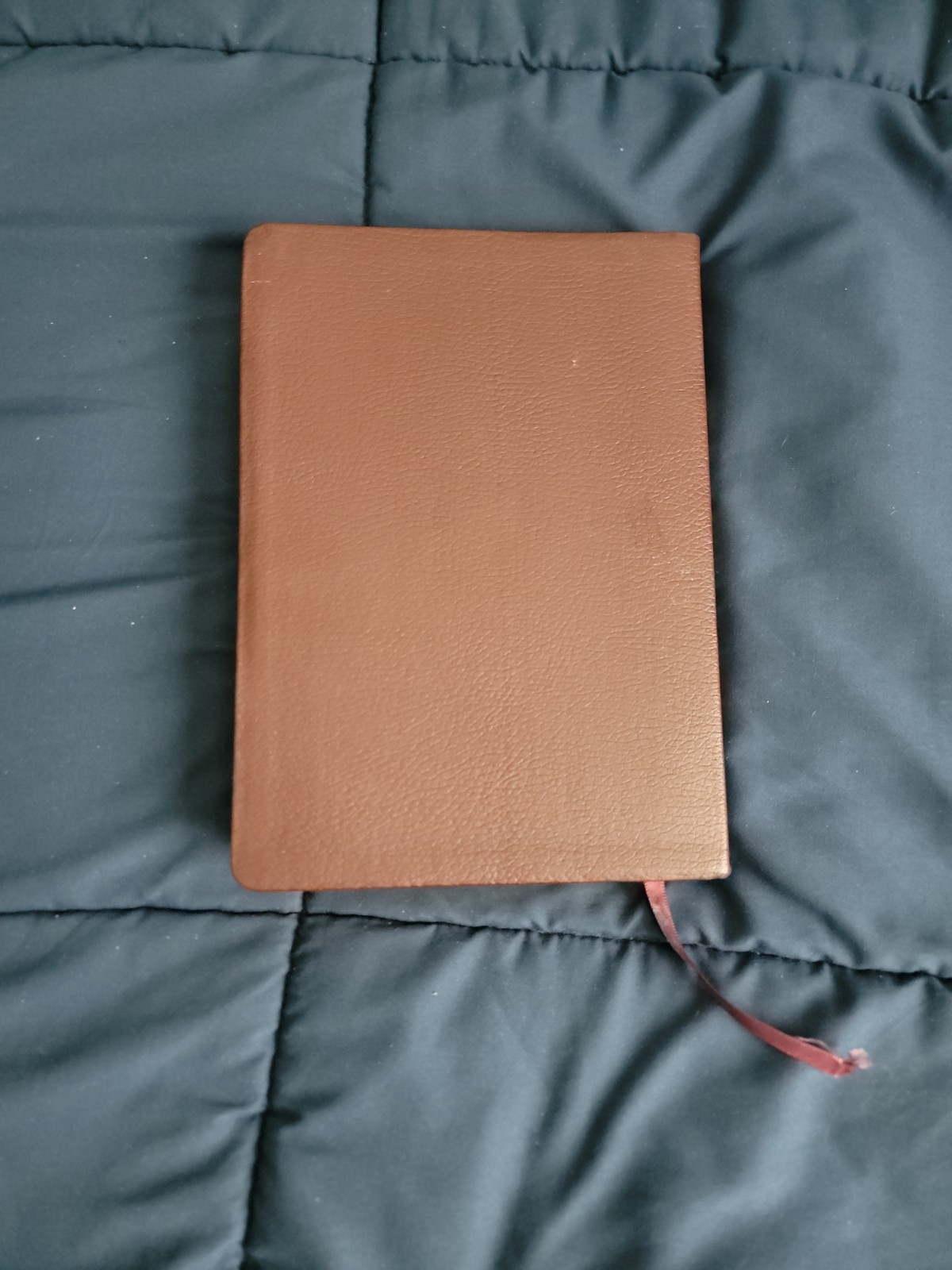 Power For Life Genuine Leather TNIV Study Bible