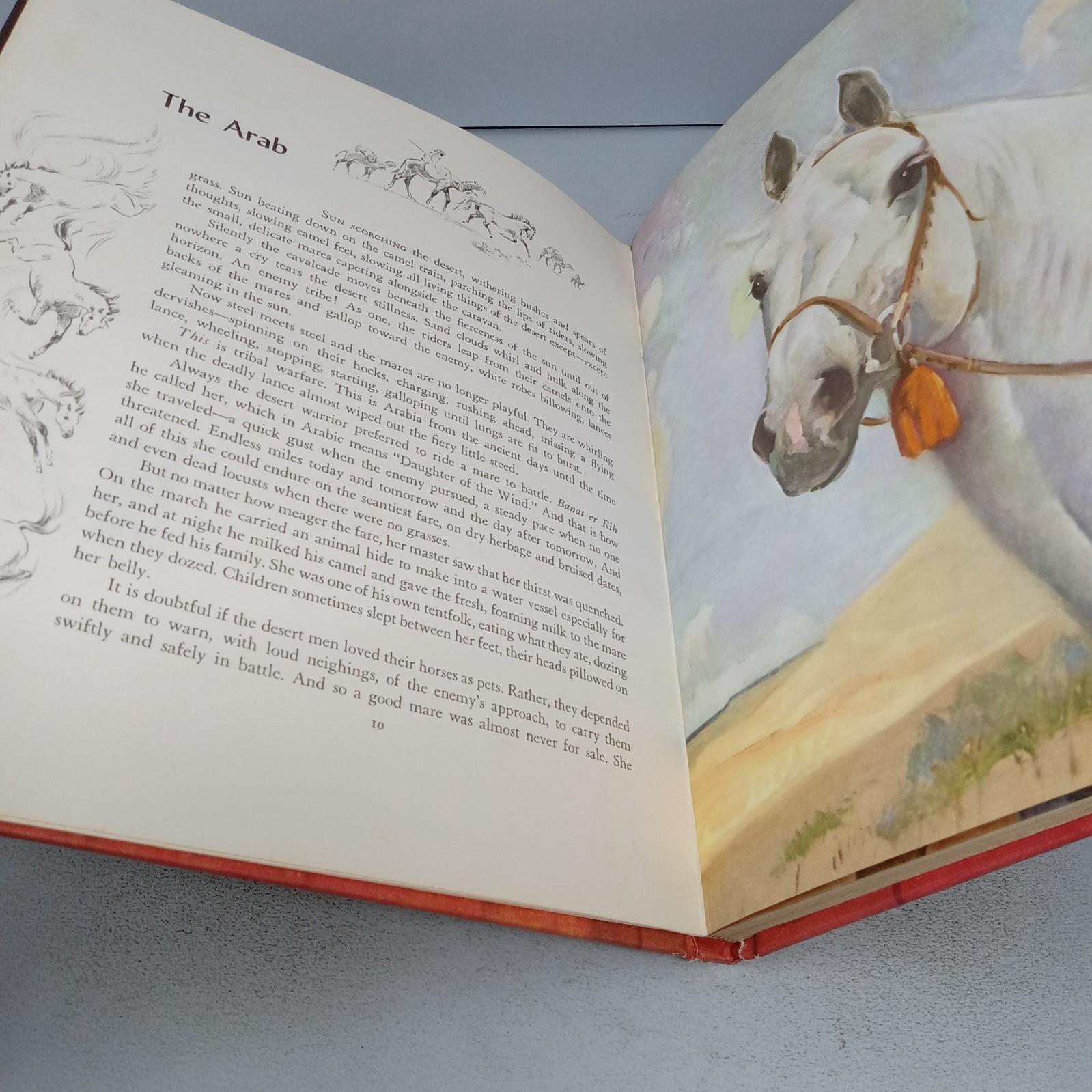 Album of Horses: 1978 23rd Printing Rand McNally Hardcover by Marguerite Henry