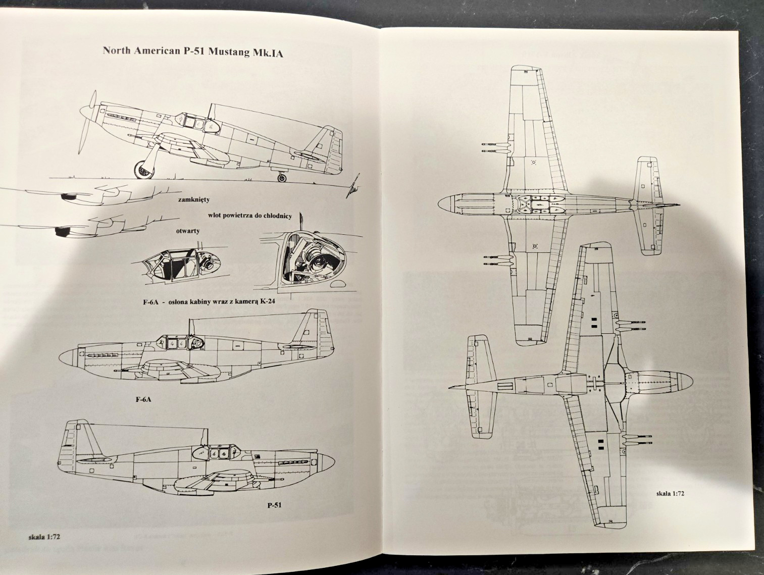 P-51 P-51A A-36 MUSTANG – Seria Pod Lupa #1 – Polish w/English Summary