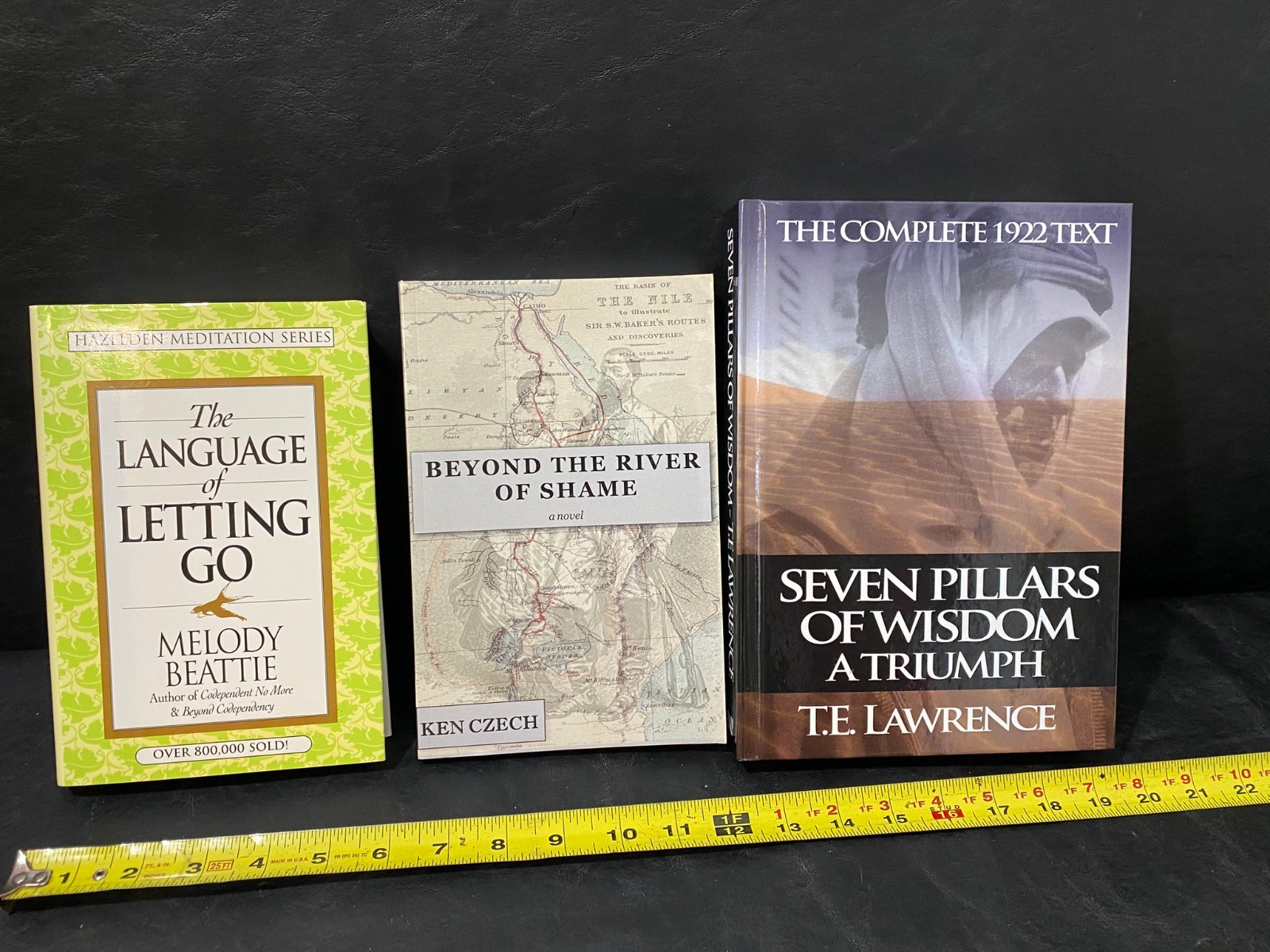 The Language of Letting Go Beyond the River of Shame Seven Pillars of Wisdom