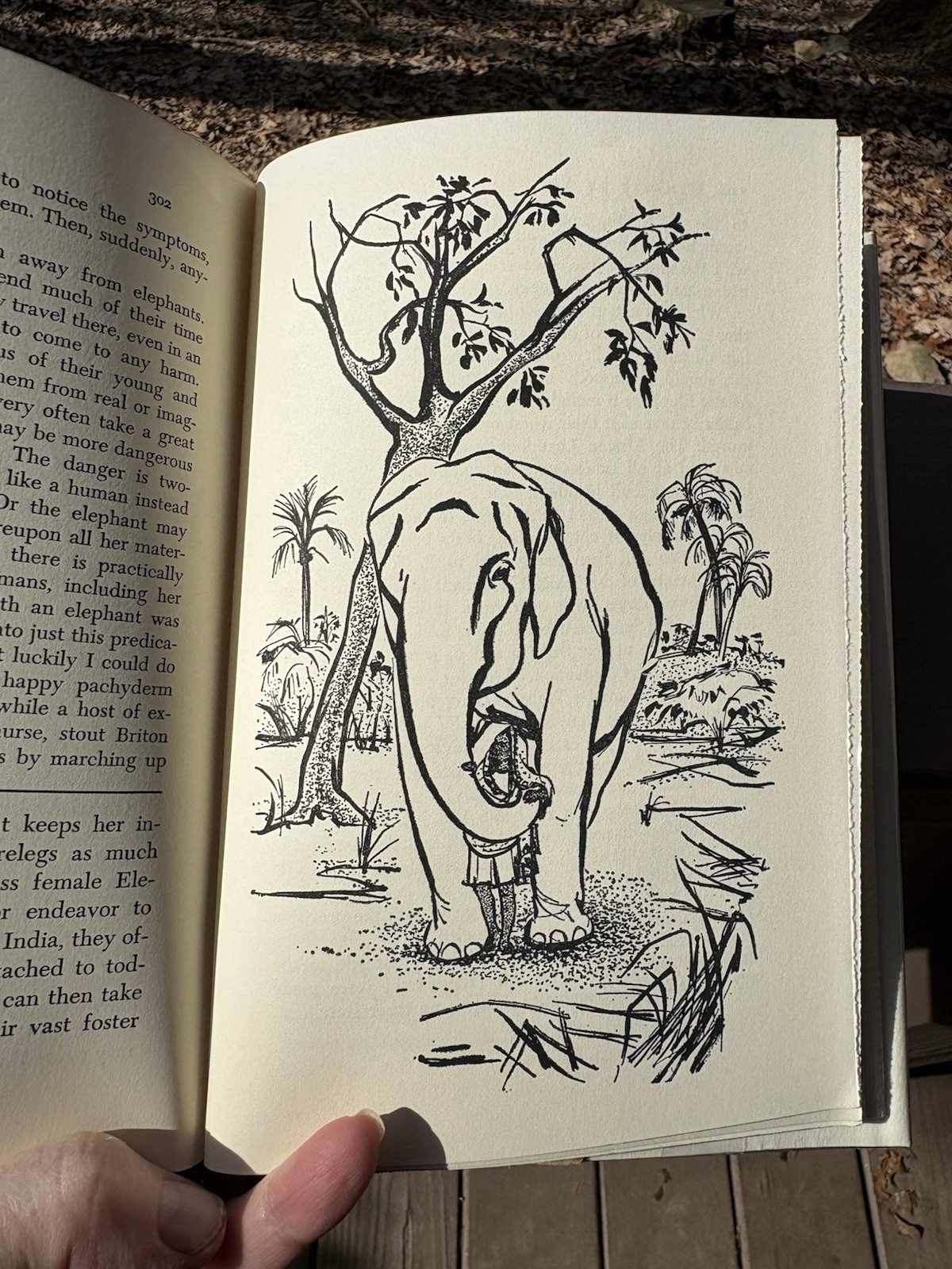 The Dynasty Of Abu, Ivan T Sanderson, Alfred A Knopf, 1962, HCDJ 1st Ed.