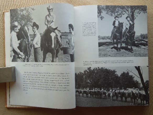 Saddle Up by Charles E. Ball