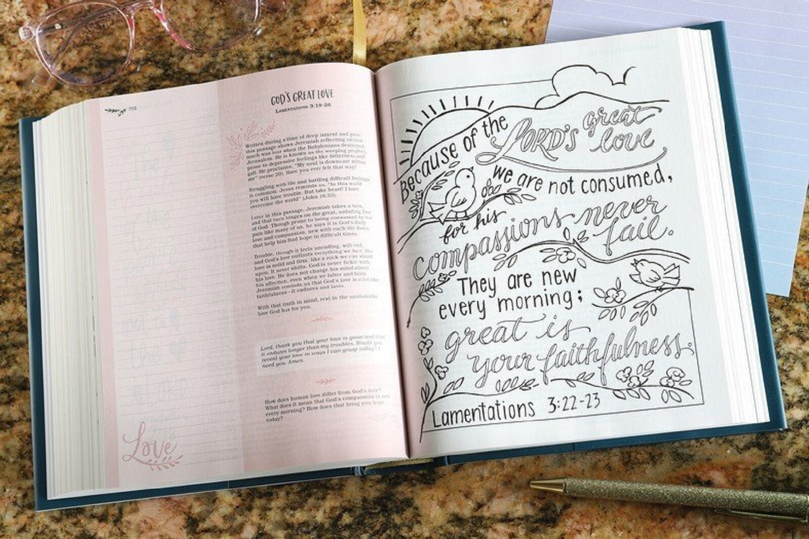 NIV Radiant Virtues Bible: Hardcover Bible and Journal BRAND NEW in Shrink Wrap!