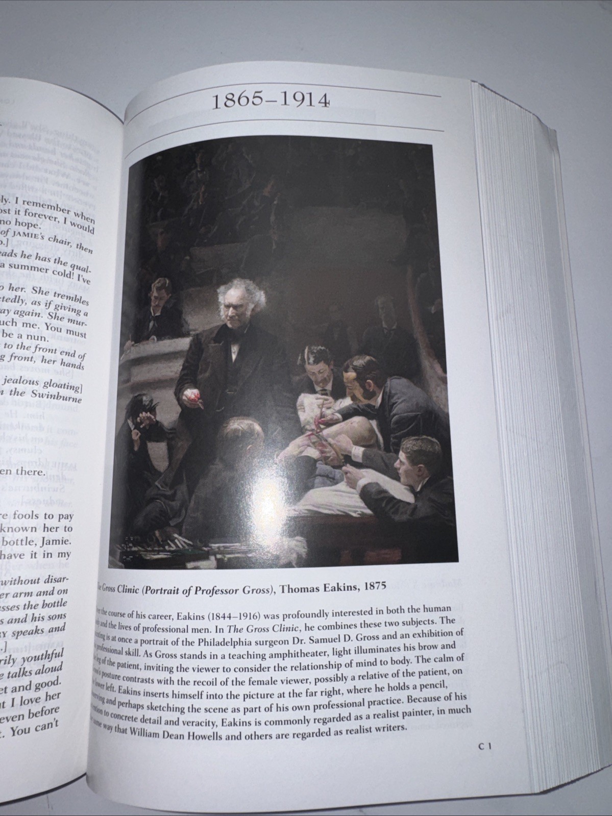 Norton Anthology of American Literature : 1865 to the Present